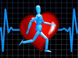 pulzusszám egészségre gyakorolt hatása a testmozgás
